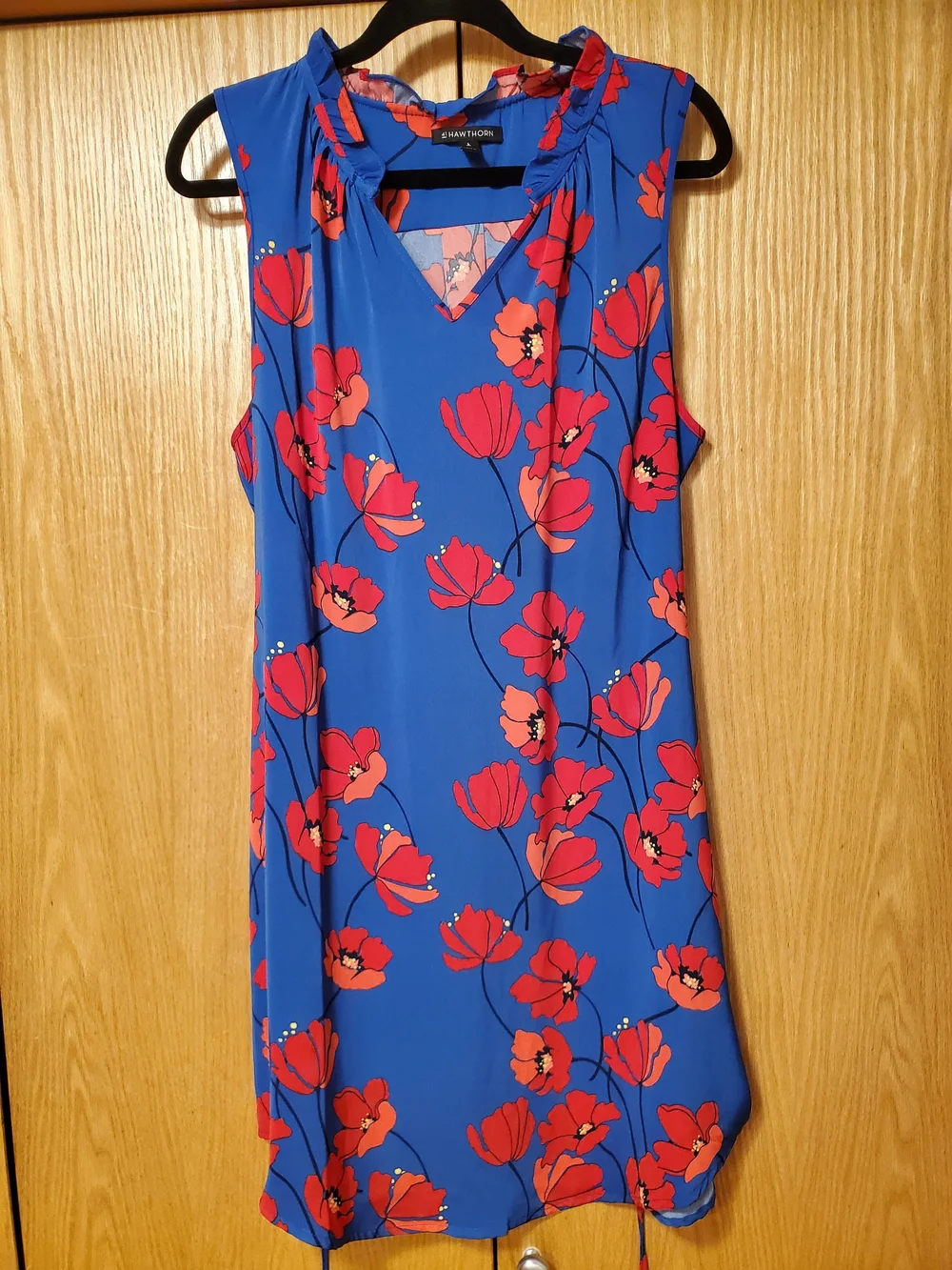 41 Hawthorn Blue Dress with Red Floral Print - Picture 3 of 9